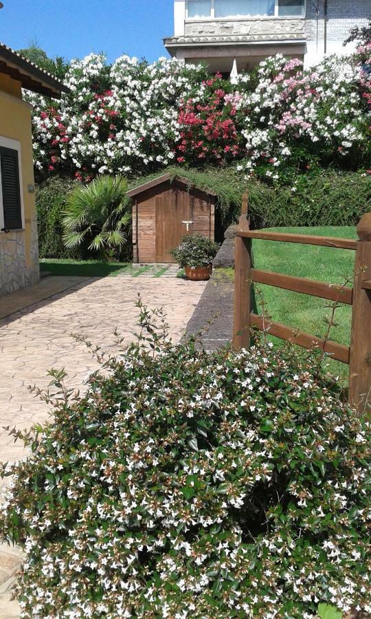 L'Infinito Bed & Breakfast Carbognano ภายนอก รูปภาพ